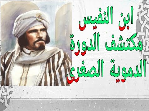 ولد ابن النفيس