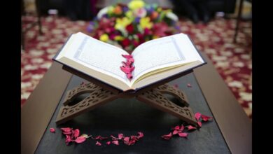 تفسير الآيات القرآنية