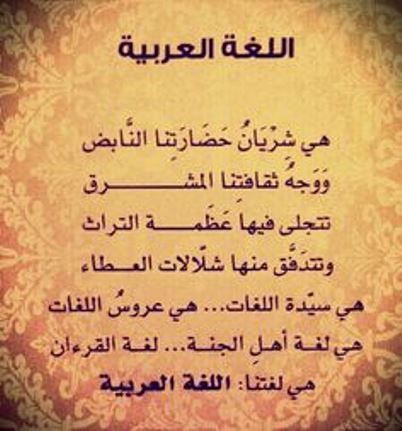 العربية كلمة عن اللغة كم وردت