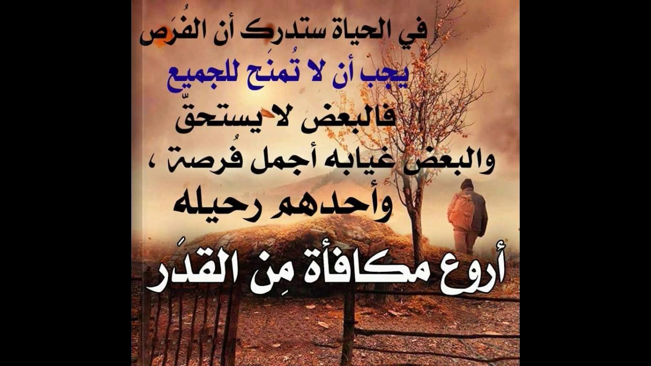 حكم عن الحياة