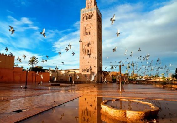 ثقافة المغرب