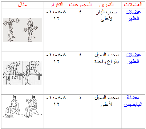 جدول تمارين زيادة حجم عضلات الظهر