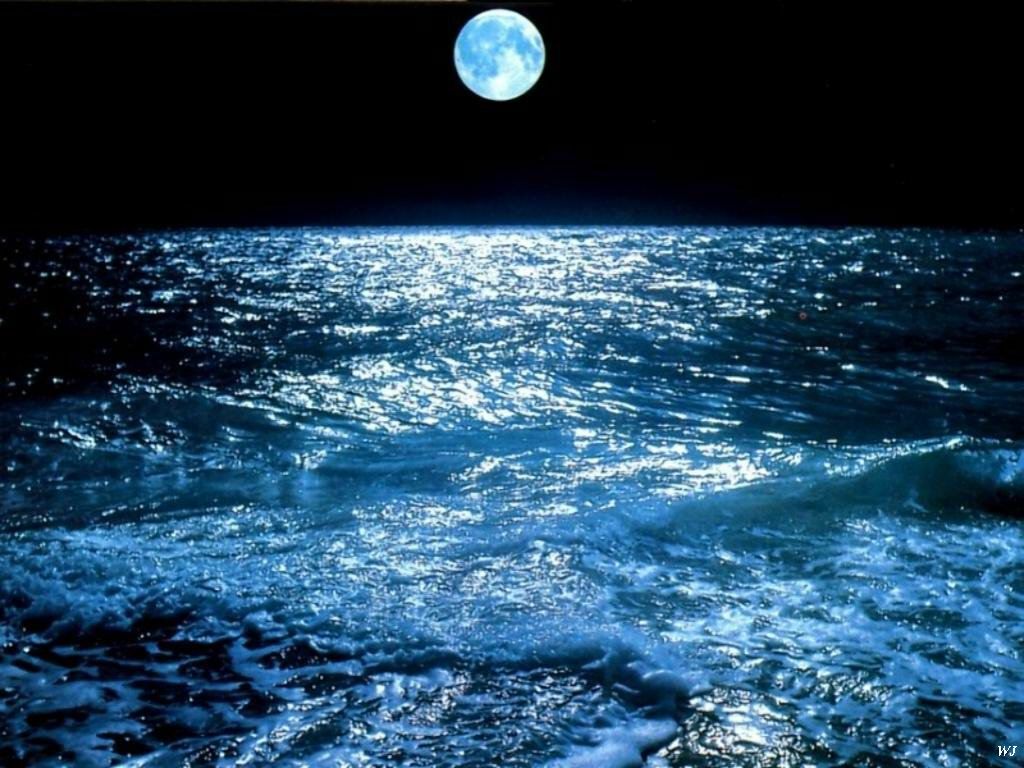 البحر الابيض المتوسط اكبر بحار العالم.