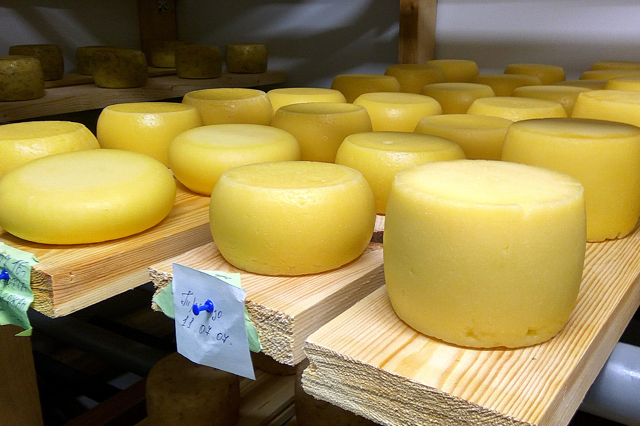 طريقة تصنيع الجبنة الرومي.