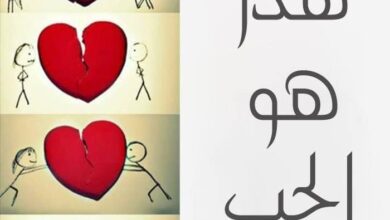 وصف الحب