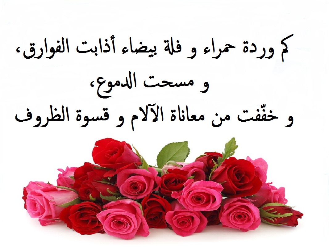 خلفيات