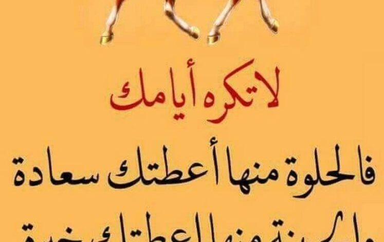 حكم