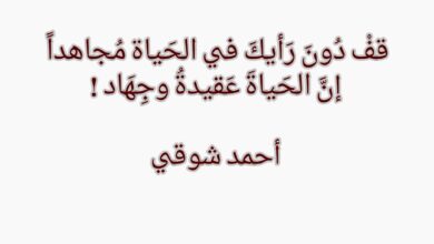 كلمات