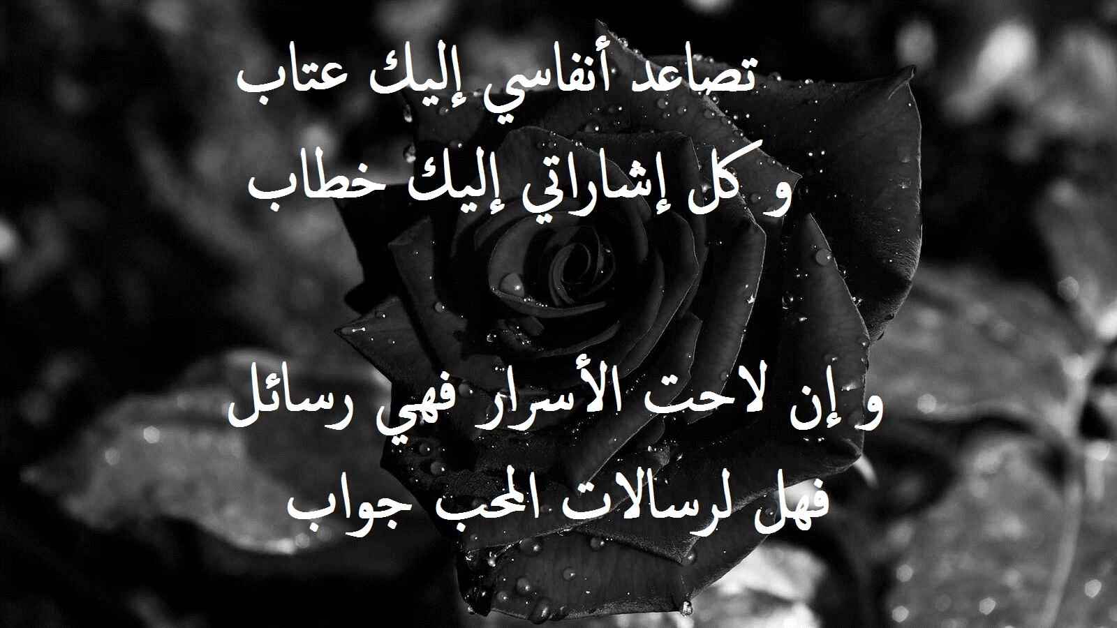 شعر