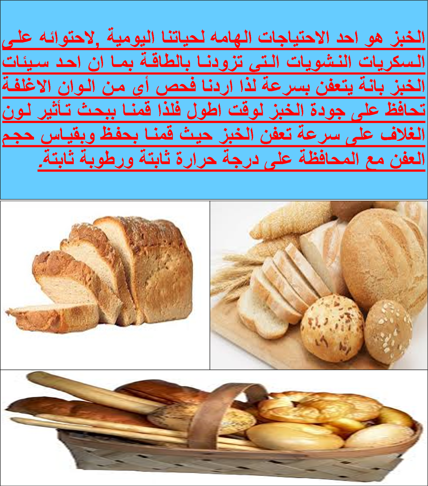 صور عفن الخبز