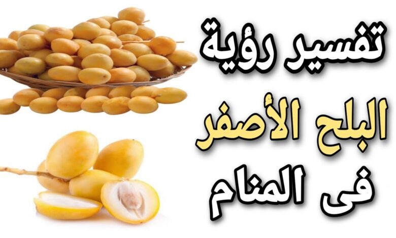 تفسير الأحلام