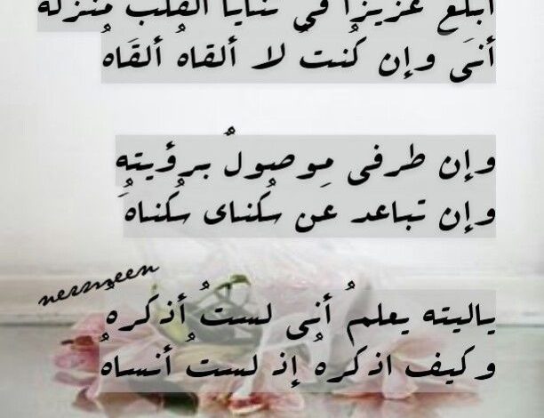 أبيات شعر حب