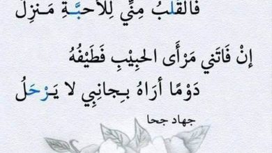 اجمل شعر على الصور