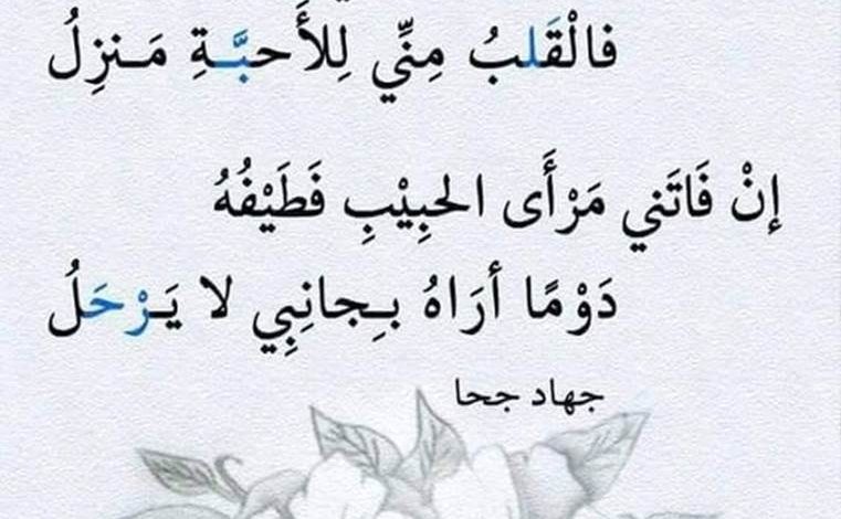 اجمل شعر على الصور