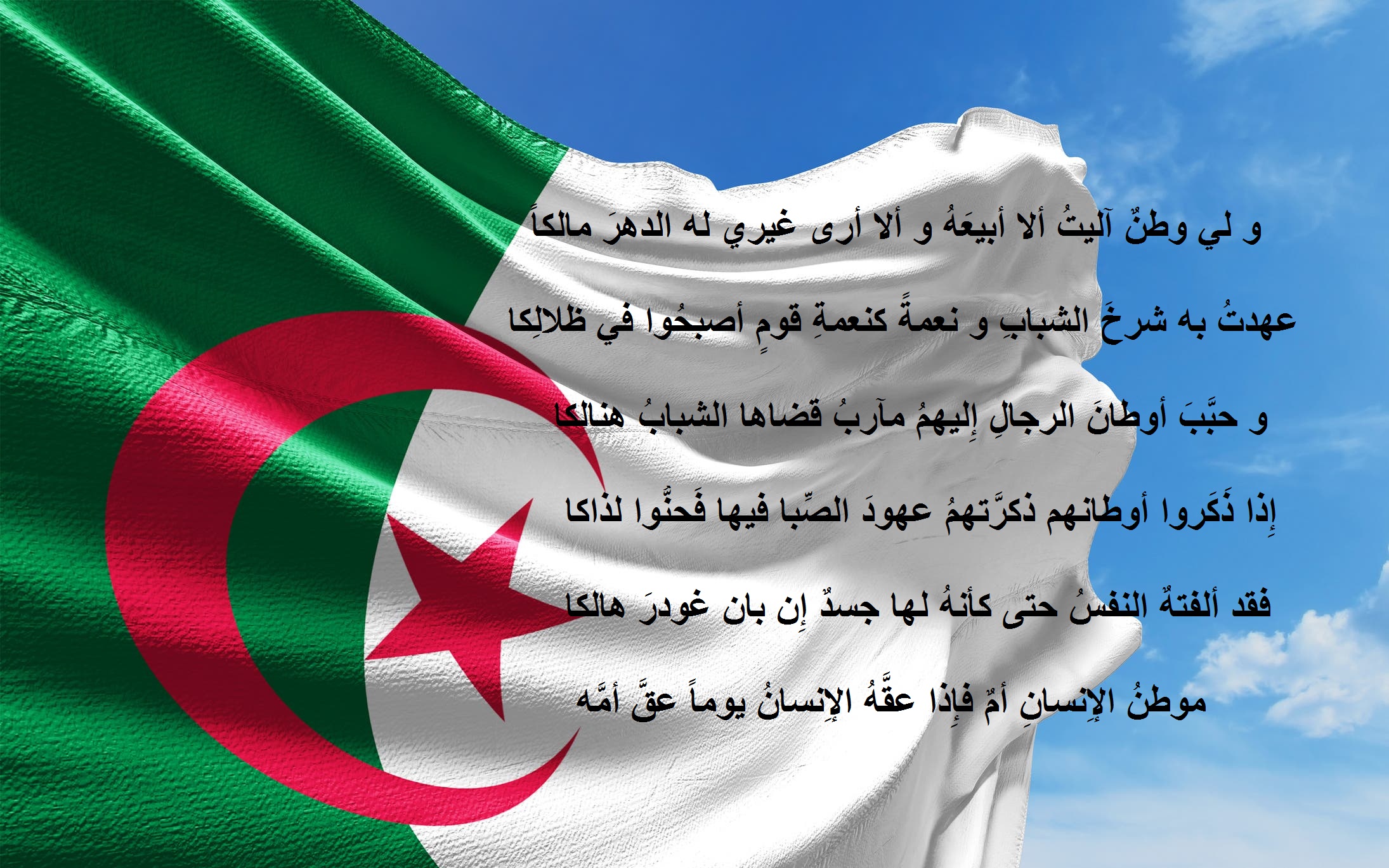 علم الجزائر مكتوب عليه أبيات شعر جميلة عن الوطن.