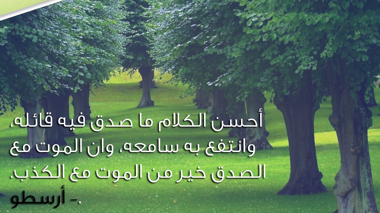 كلمات