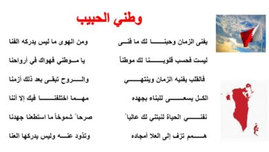 شعر عن الوطن العربي