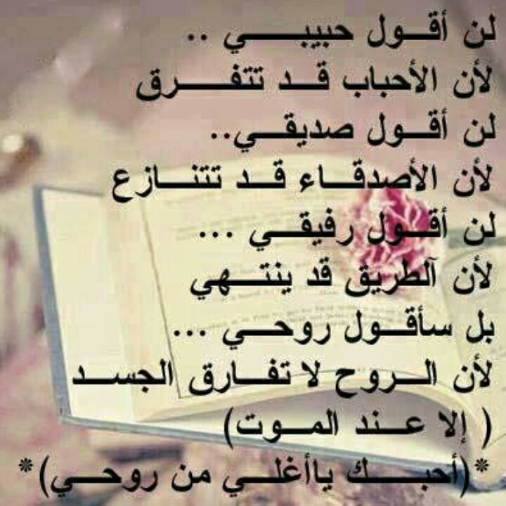 ابيات شعر حب