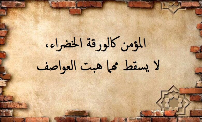 حكم و و مقولات دينية.