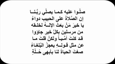 قصيدة مدح النبي