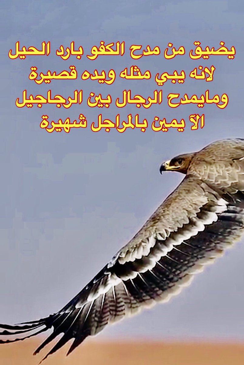 مدح الرجال