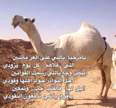 شعر بدوي