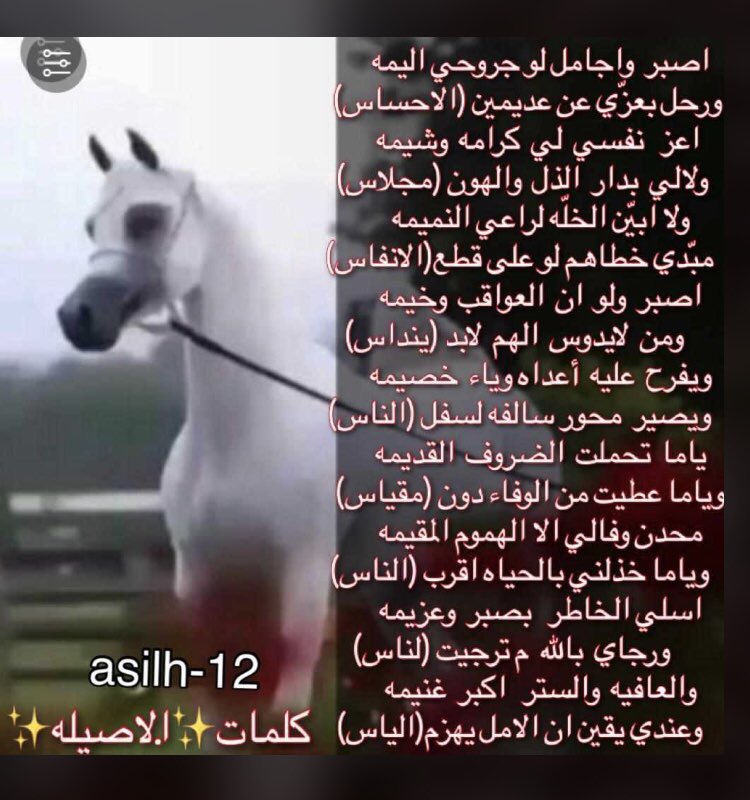 شعر الاصيلة