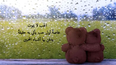 مقولات رومانسية رائعة.