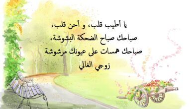 عبارات حب رائعة عن الزوج.