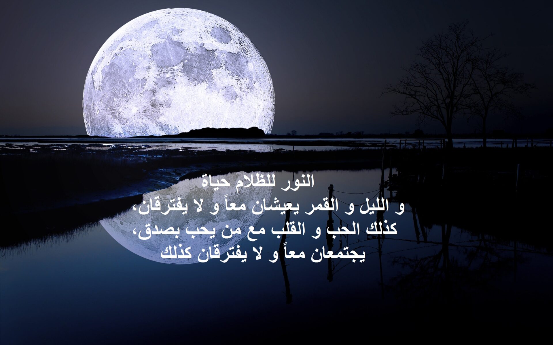 كلام جميل عن القمر والليل وأجمل مقولات وخواطر قصيرة