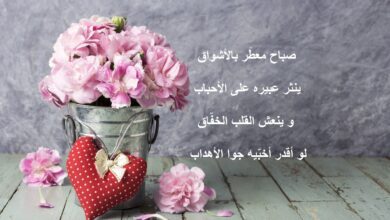 شعر جميل