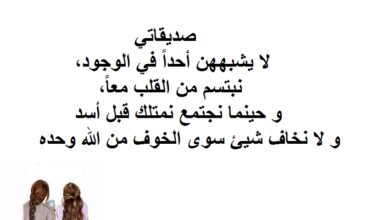 عبارات قصيرة مكتوبة عن الصديقة و الرفيقة.