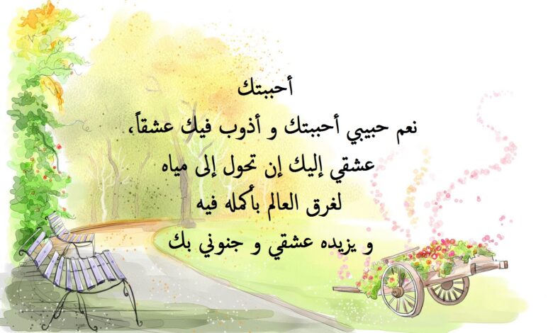 عبارات عن الحب راقية.