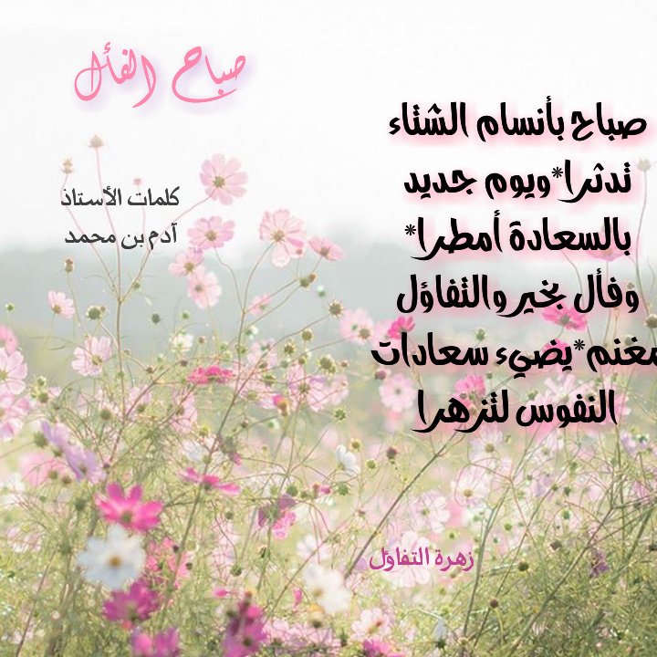 خاطرة عن الشتاء