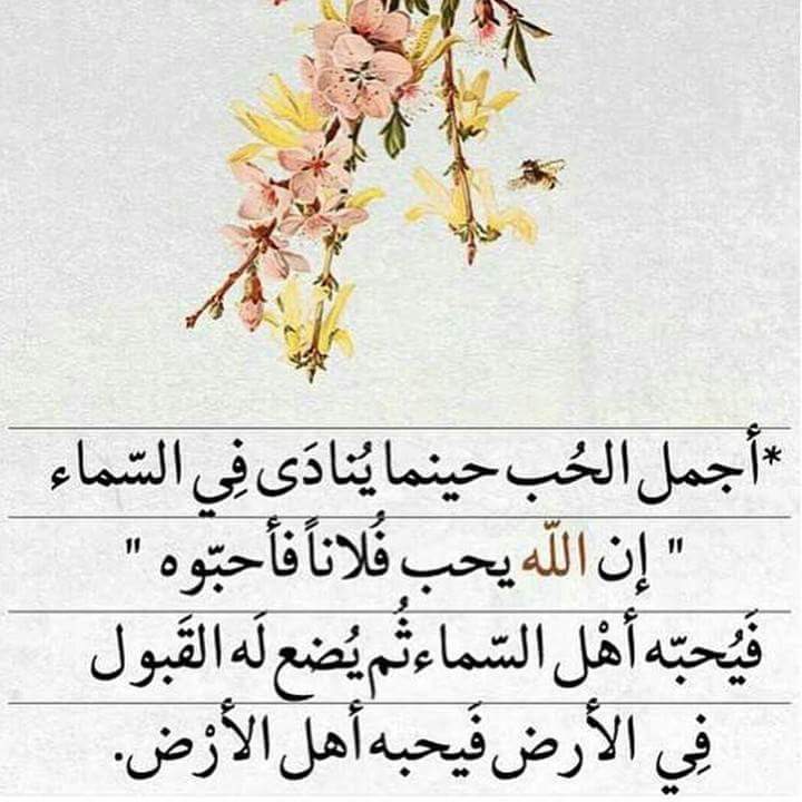 حالات واتس