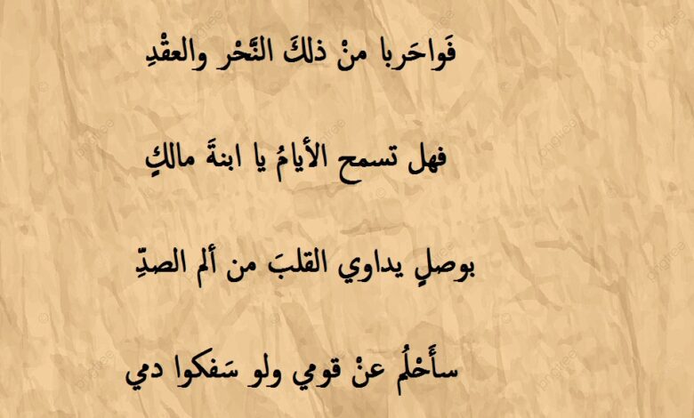 مقتطفات من شعر غزلي لعنترة بن شداد.