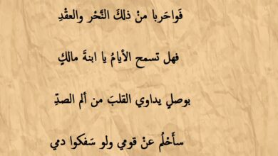 روائع الشعر العربي