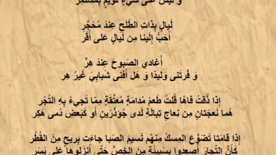 أبيات قصيدة لامرؤ القيس غزل.