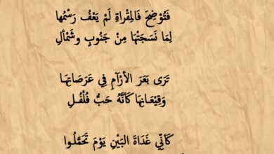 شعر جاهلي غزل لامرؤ القيس.