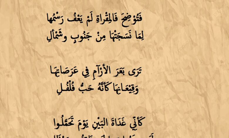 شعر جاهلي غزل لامرؤ القيس.