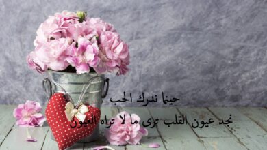 عبارات جميلة عن الحب.