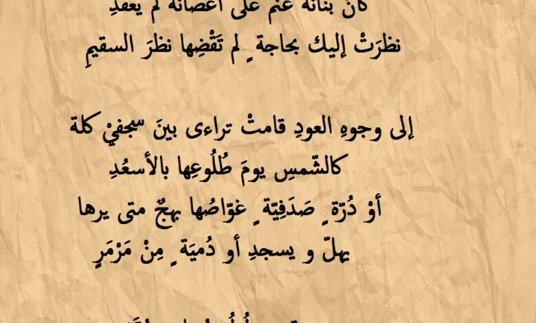 كلمات قصيدة غزل جاهلي للنابغة الذبياني و الملكة المتجردة.
