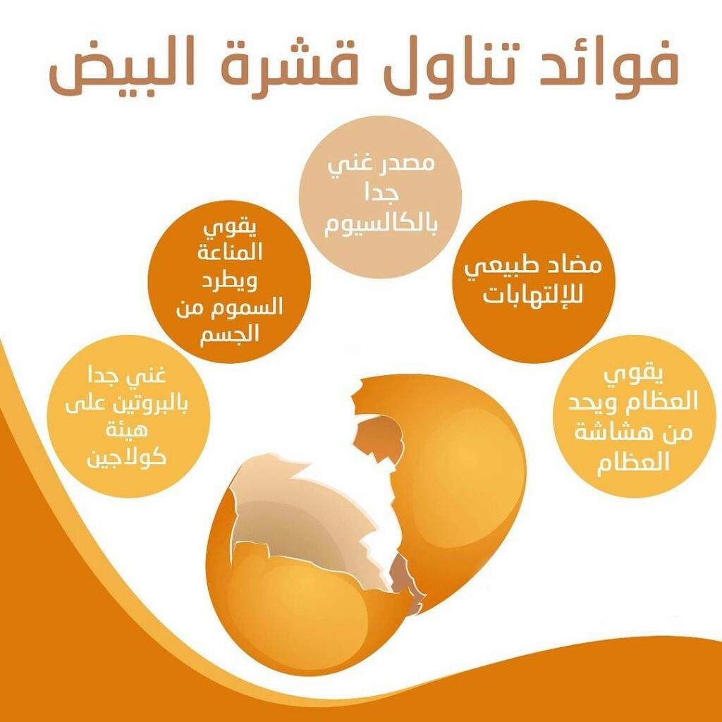 فوائد قشر البيض