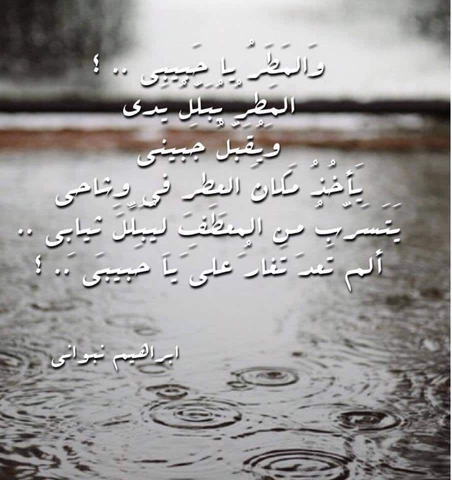 كلمات عن المطر