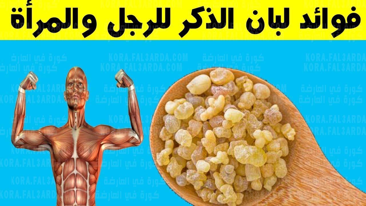 اللبان الذكر 