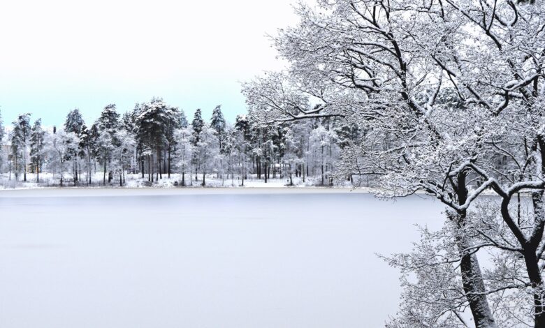 صورة جميلة عن الثلوج في فصل الشتاء