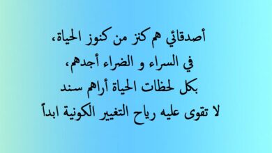 كلمات قصيرة عن حب الأصحاب.