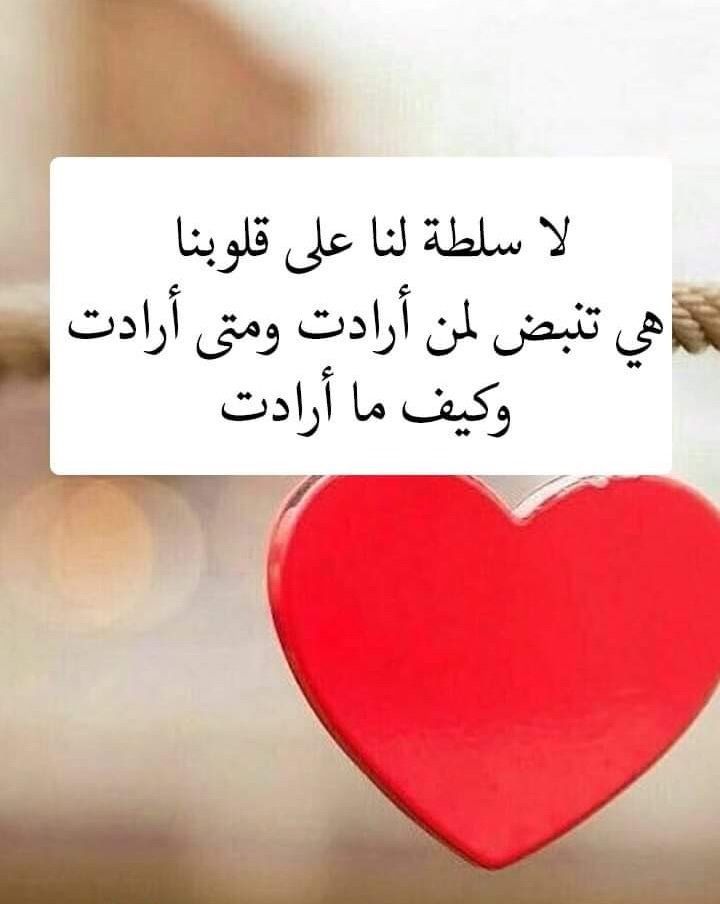 الحب 