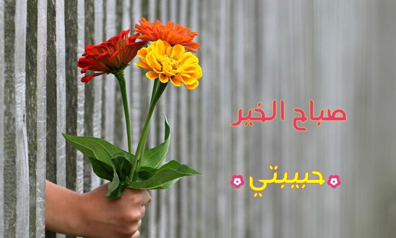 رسائل رومانسية عن الصباح