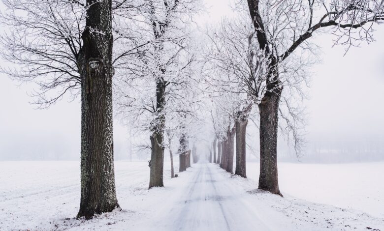 صورة جميلة عن الشتاء والثلوج البيضاء الحلوة